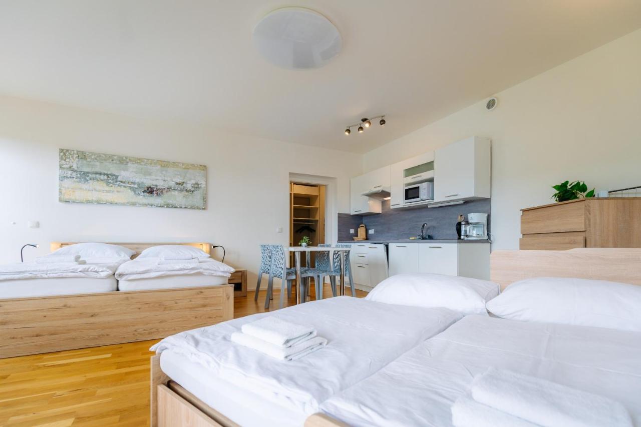 Horsky Apartman Temari 12 Klinovec Лоучна-под-Клиновцем Экстерьер фото